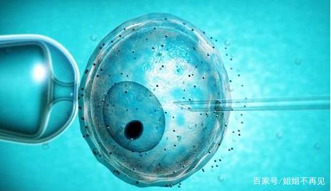 供卵代怀生男宝代生包成功